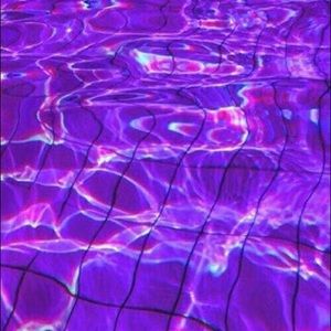 Meet your Posher, Zoey